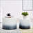 Nesting Coffee Table Set of 2, White and Black MDF Side Tables, No Assembly Required