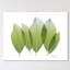 Golden Magnolia Leaf - Wrapped Canvas Print-618254188