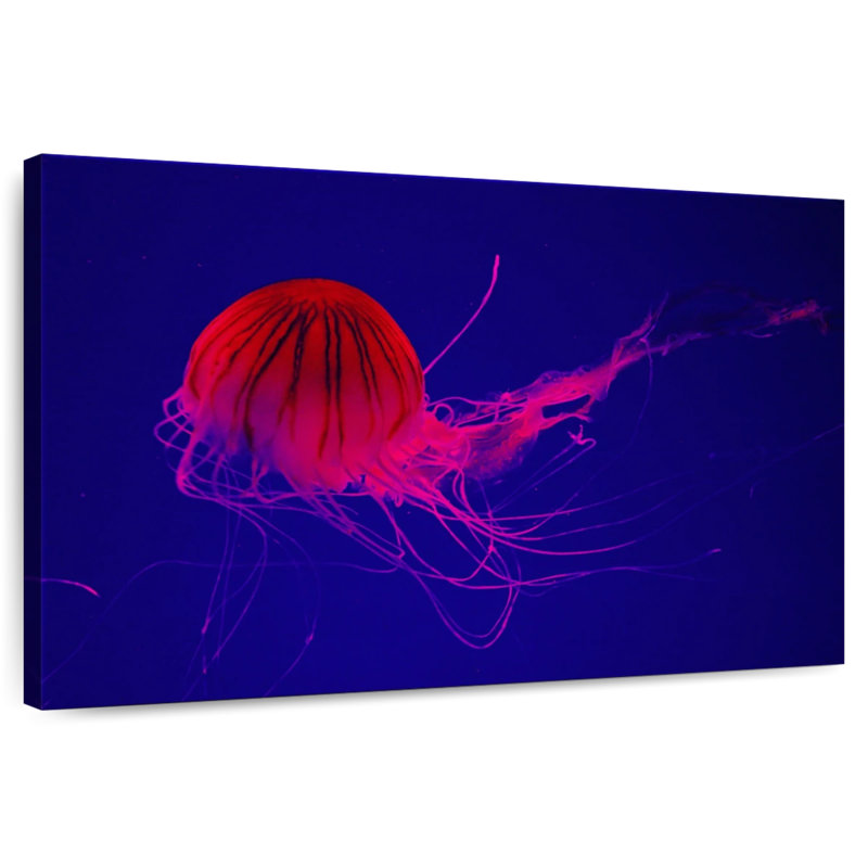 Crowle Red Medusa Jellyfish, 26" H x 39" W