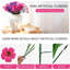 Arrangement