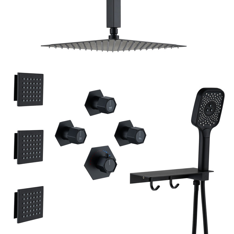 Système de douche thermostatique de plafond AquaRhapsody avec 4 jets de corps et tablette de rangement, Noir mat