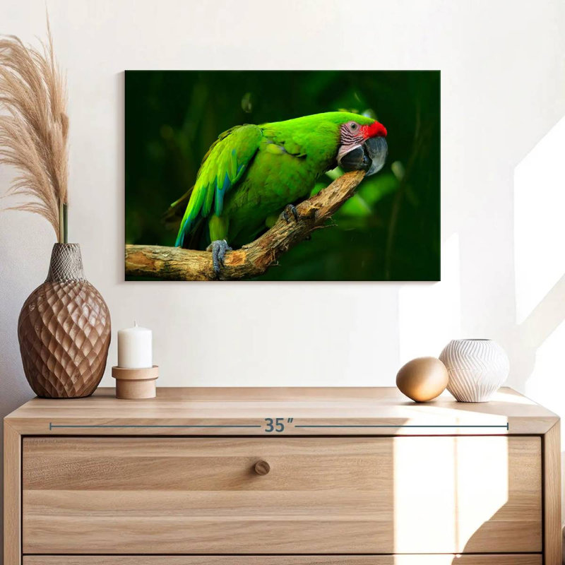 Military Macaw, 34" H x 51" W