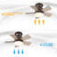 Tavontae 24'' Ceiling Fan with LED Lights-313078641