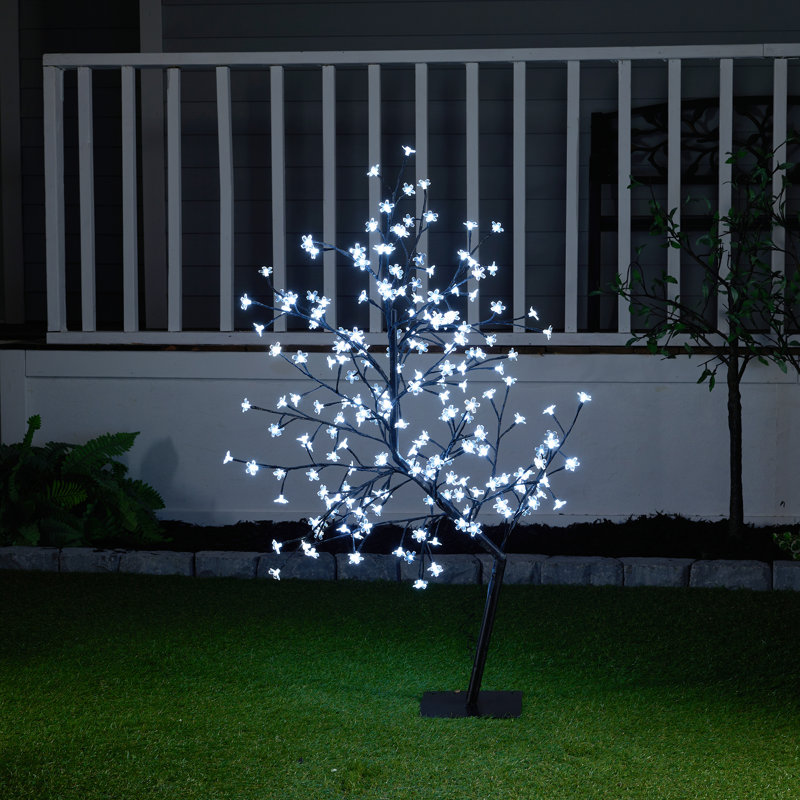 Cherry Lighted Display