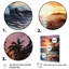 Couchers de soleil de Almun, pêche, mauve, Mexique, Cancun-498950941-498951011