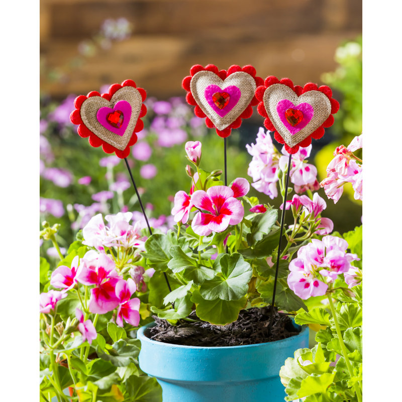Jeu de jardin de st valentin Platteville