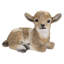 Baby Lamb Lying Down-50844492