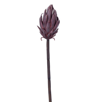 22" Grey/Green Protea Stem 2/Bag Protea Arrangement