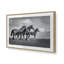Famille de chevaux sauvages-1879856296-1879856299-1886441121