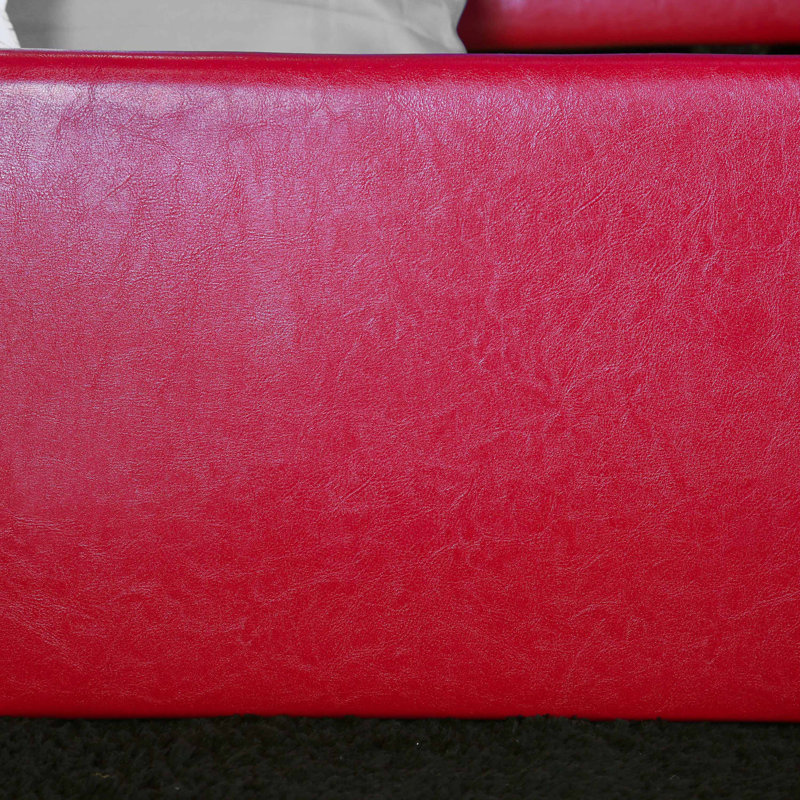 Rhine Kids Twin Daybed with Trundle, Red