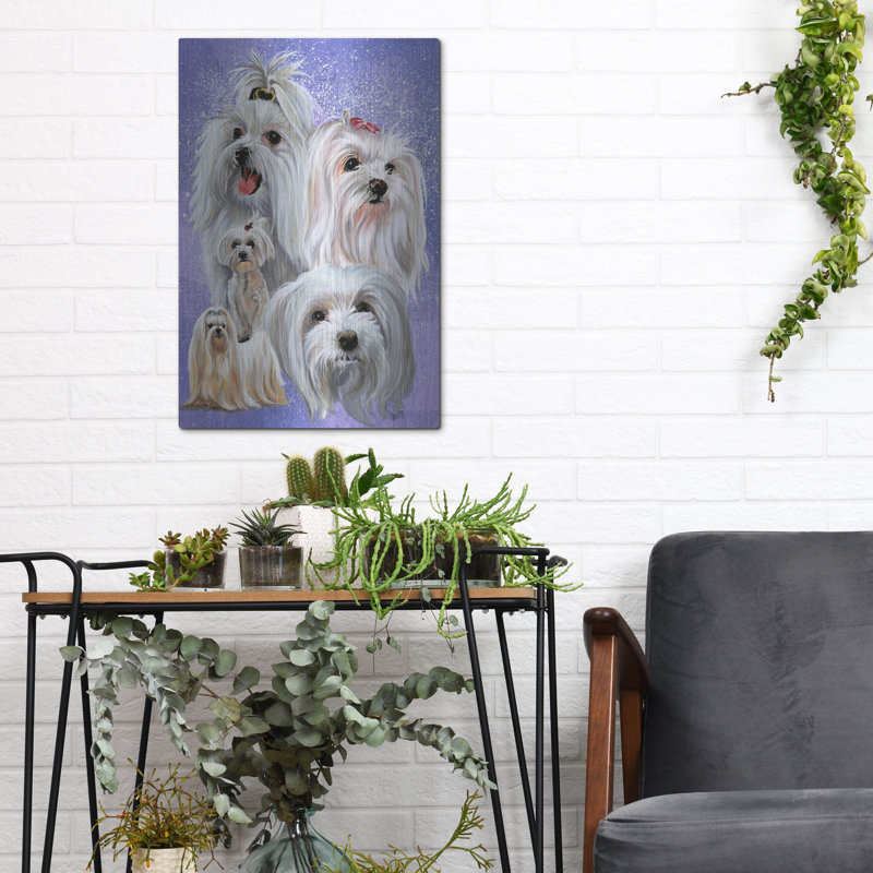 «Maltese 2» par Barbara Keith, H 16 po x l 12 po