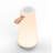 Uma Sound lantern
