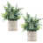 Sage Green