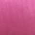 Fuschia Velvet
