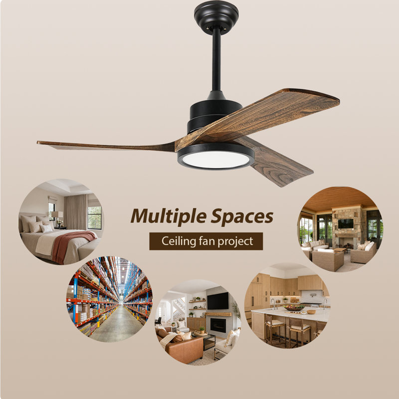 42-Inch Ceiling Fan with Light
