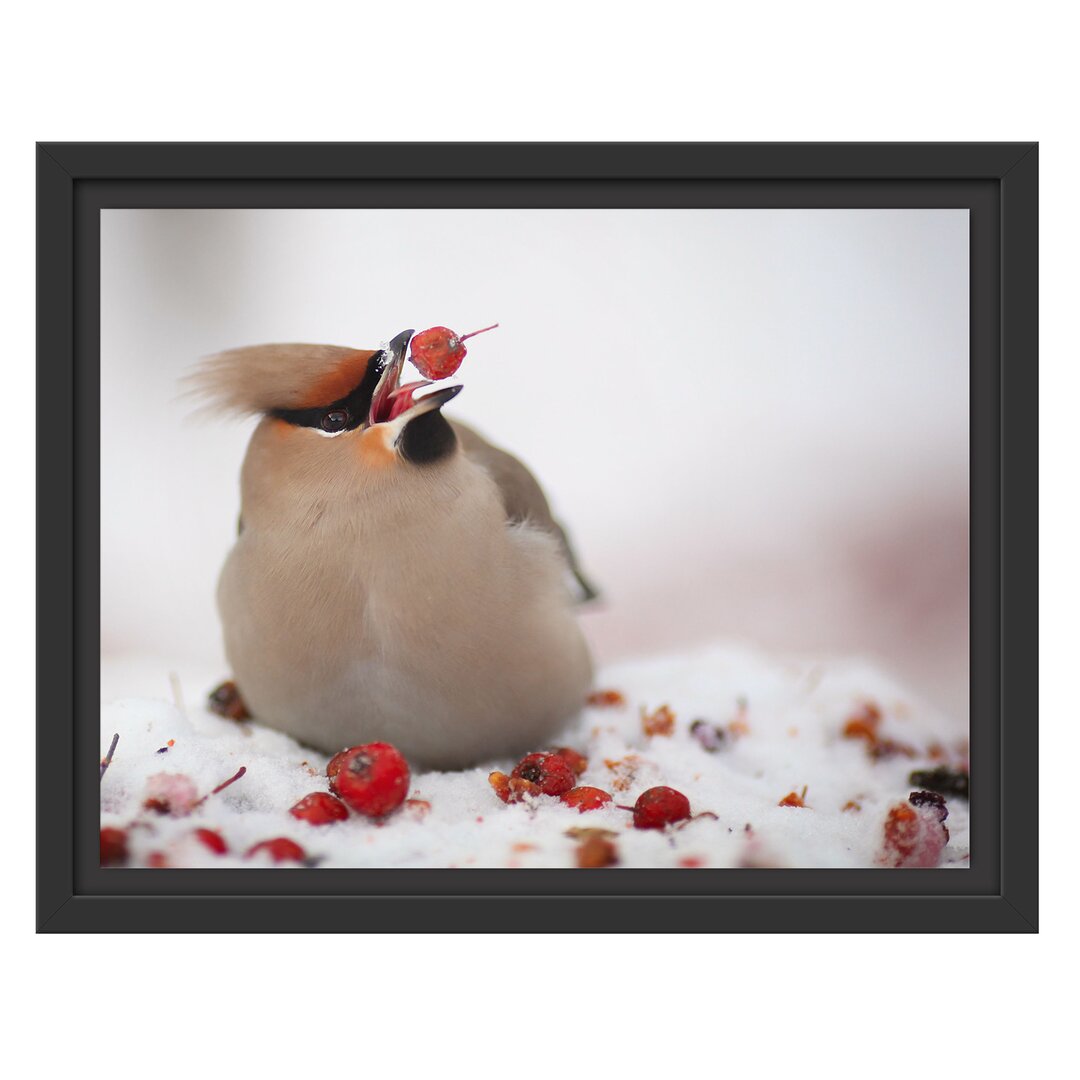 Gerahmtes Wandbild Kleiner VogelSchnee