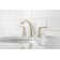 Weller Centerset Bathroom Faucet with Drain Assembly