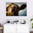 Silly Cow-107703376