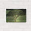 «Single Tree» par Dennis Frates-115886958