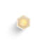 Wink Lantern-64076255-64076256