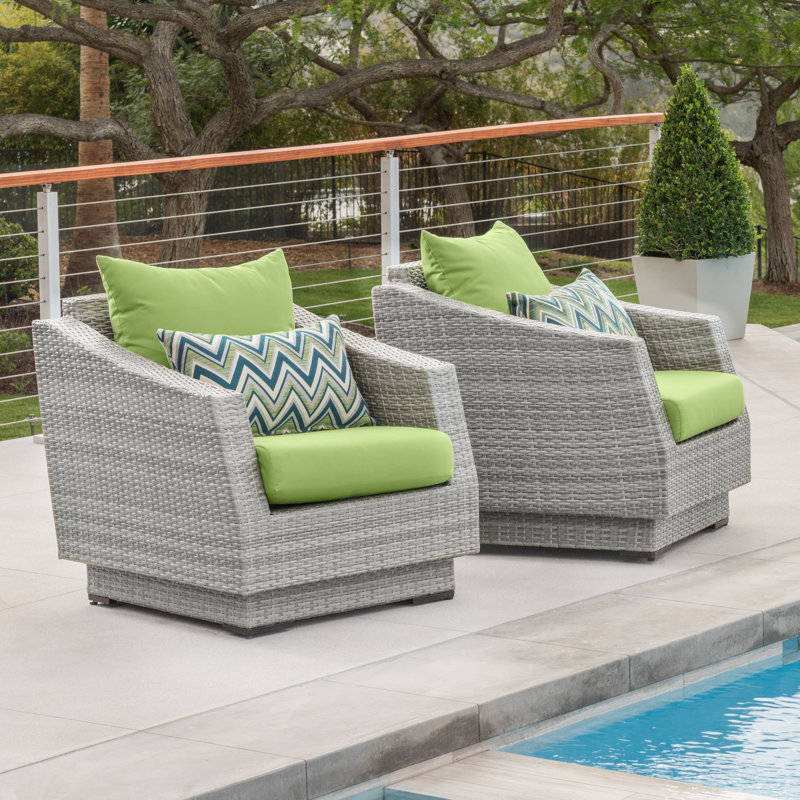 Fionnula Patio Chair With Sunbrella Cushion Covers, Canvas Ginkgo Sunbrella® Canvas