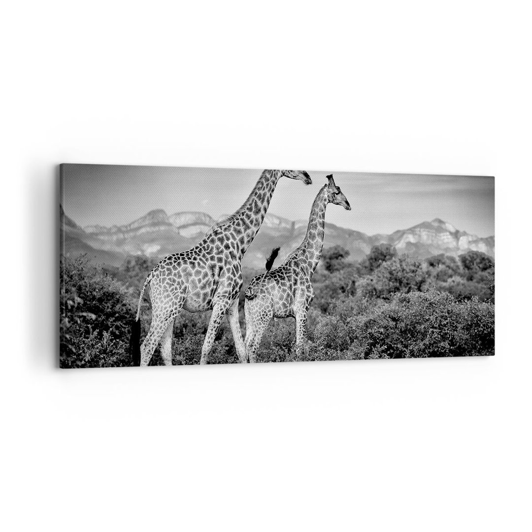 Leinwandbild Giraffes Black and White