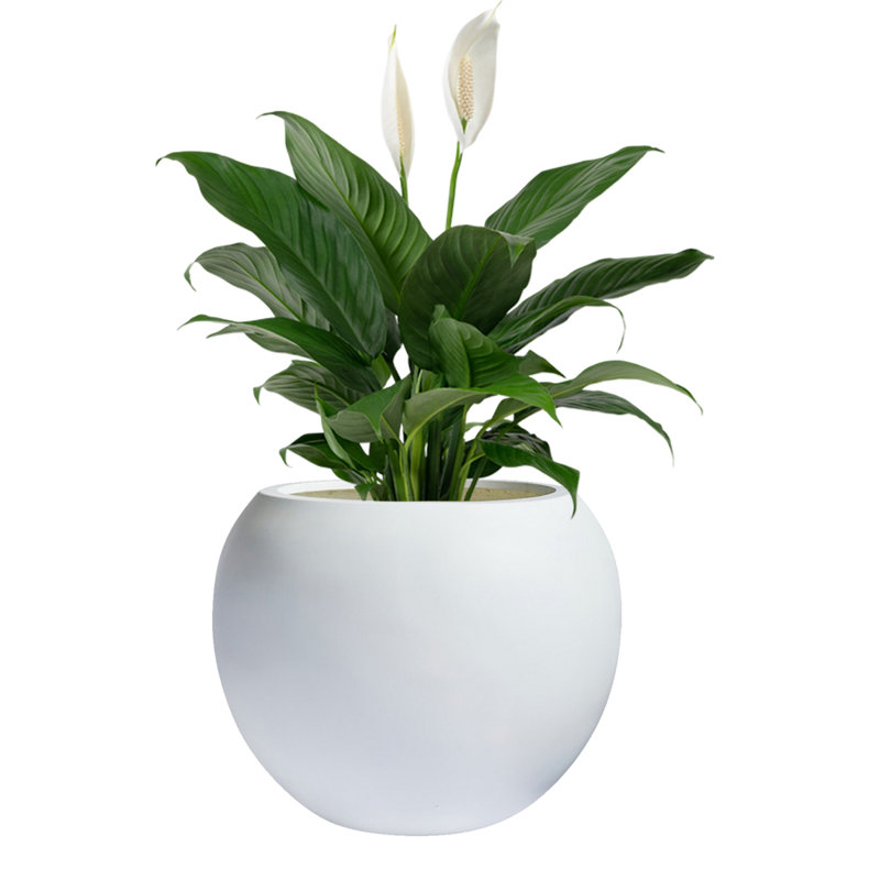 Pot de fleurs Dorlis Fiberstone, Blanc, H 13,5 po x l 17 po x P 17 po