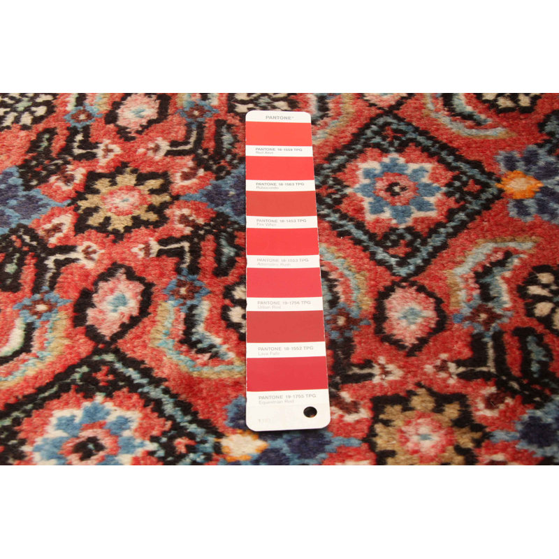 Tapis rouge Andelz 3 pi 8 po x 10 pi 8 po