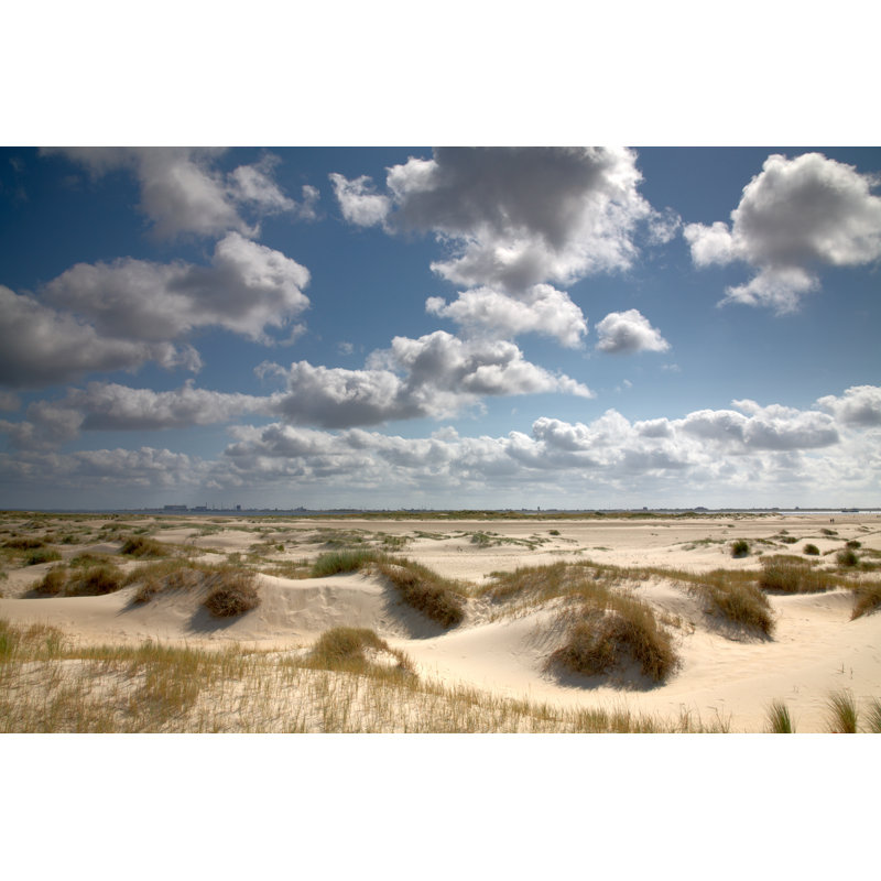A Beach Dune Landscape During the Day by Skeijzer, 24'' H x 36'' W