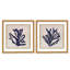 Coastal Retreat Chromatic Currents: A Diptych Of Red And Blue Ocean Plants-1359665777