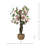 Cherry Blossom Tree in a Rope Pot