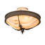 Hoja 3 - Light Semi Flush Mount