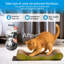 Cat Scratching Board 3 Pack with Catnip