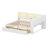 Contemporary Daybed with Integrated LED System, USB Ports, and Storage Solution-288283049