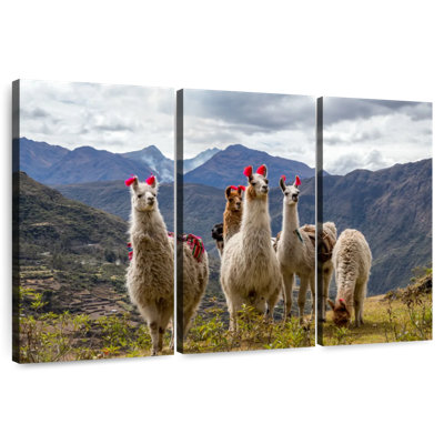 Lares Llamas