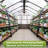 8 ft. W x 14 ft. D Solid Wood Garden Greenhouse for Outdoors, Walk in Polycarbonate Greenhouse with Locked Door and Vent-122921231