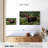 Brampt Colorado Bull Moose-108816537
