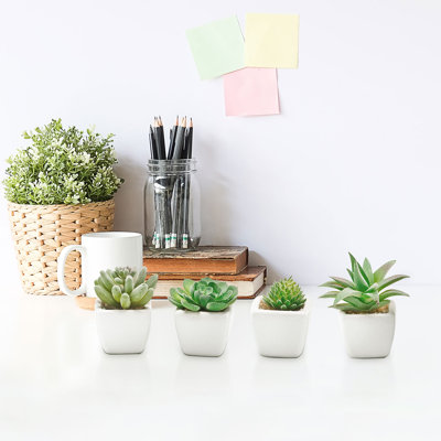 4 " H Faux Succulent in Ceramic Pot