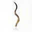 Polished Kudu Horn on Lucite Stand-1590428549