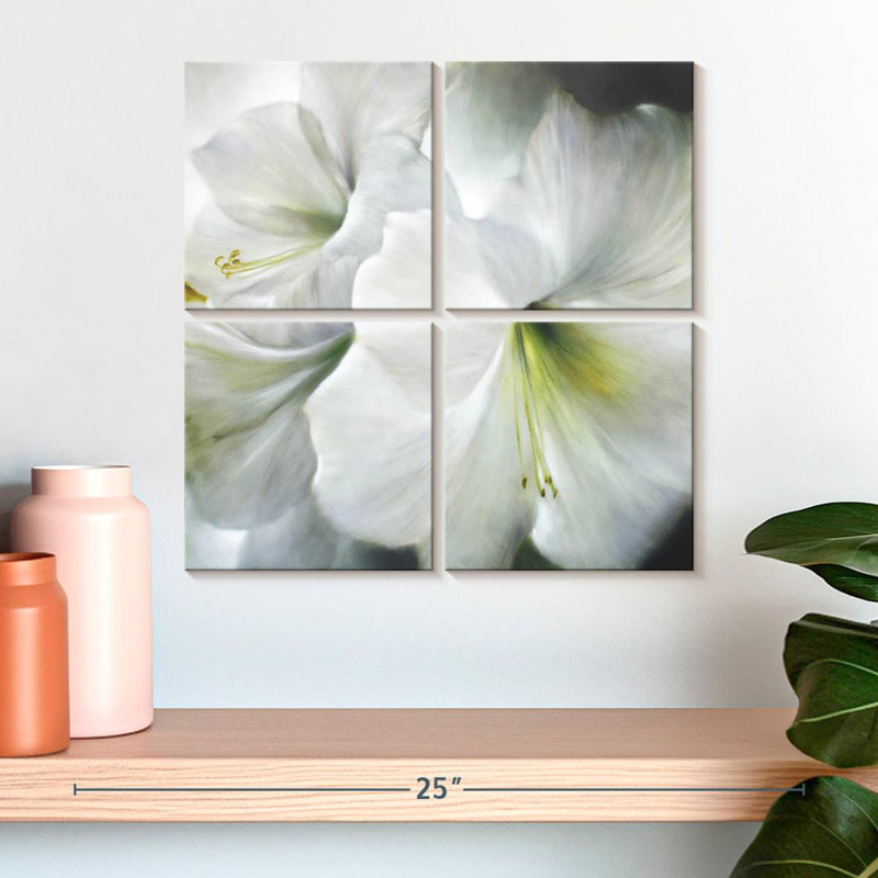 Amaryllis blanc Harnek II, H 18 po x l 18 po