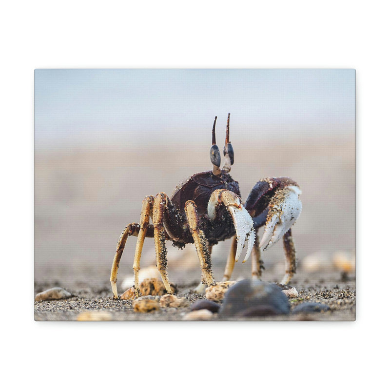 No Frame Print on Canvas