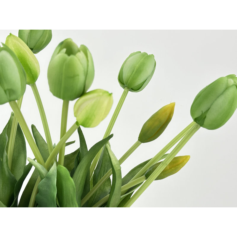 5 vraies tulipes artificielles, Vert