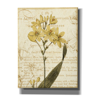 " Floral Studies II " by NBL Studio