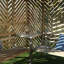 Siguna Solid Wood Outdoor Bench