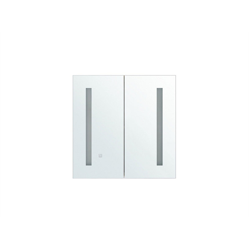 Tefft 600mm W 600mm H Surface Frameless Medicine Cabinet Mirror 2 Fixed
