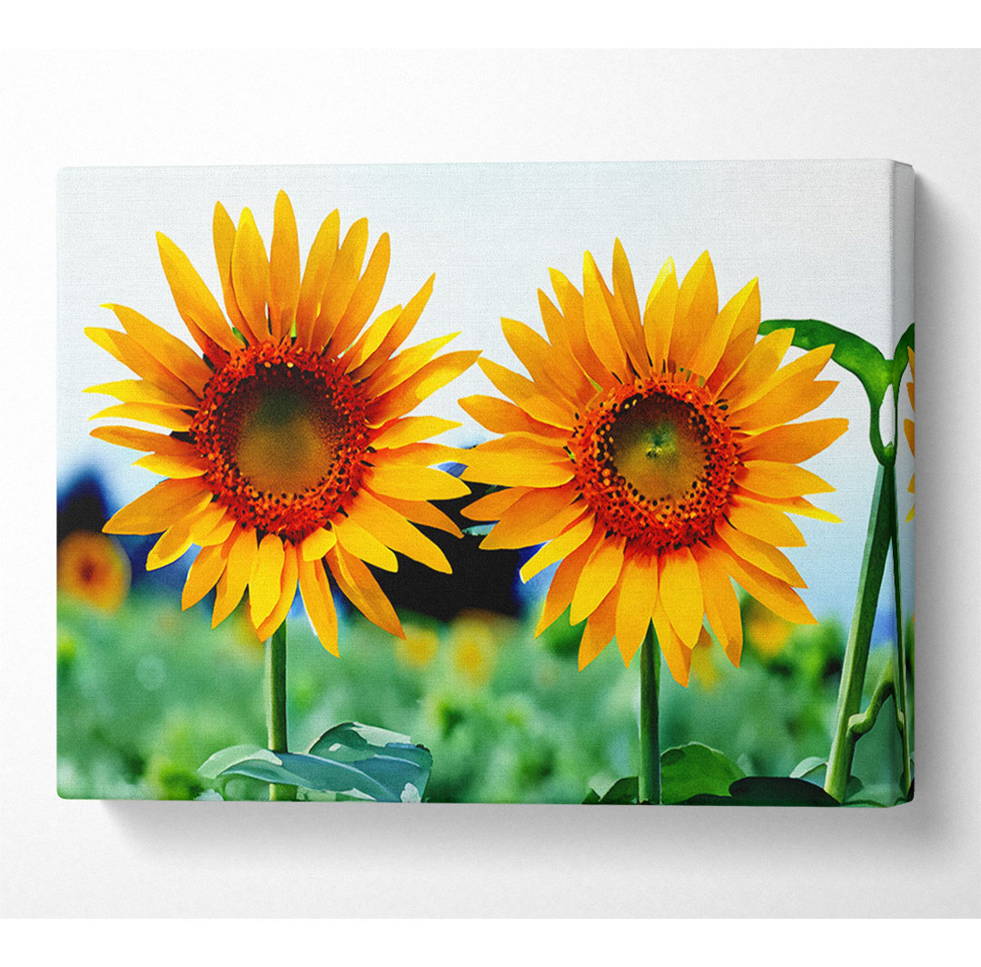 Zwillings-Sonnenblumen - Kunstdrucke auf Leinwand - Wrapped Canvas