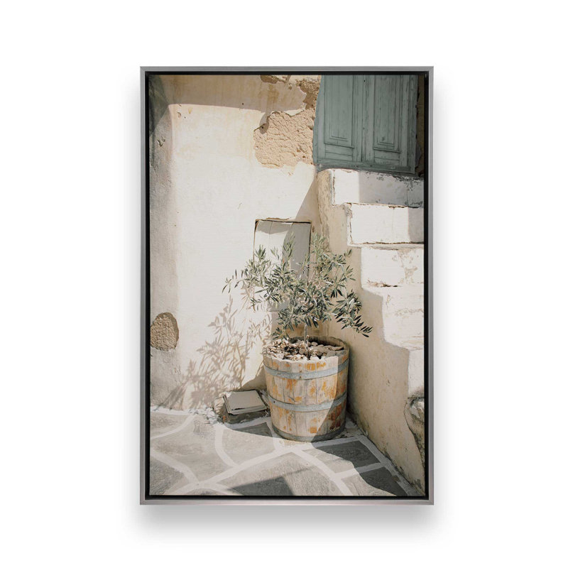 «Olive Tree in the Sun», reproduction sur toile, Cadre flottant en chrome poli, H 36,75 po x l 24,75 po x P 1,75 po