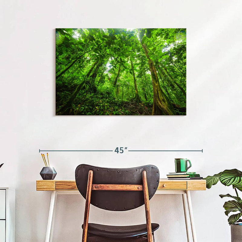 Jungle Alvord Basse-Terre, H 24 po x l 36 po