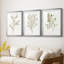 Simple brin II - impression encadrée sur mesure de qualité supérieure mate - 3 pièces-499930616
