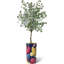 Arbre artificiel dans un pot de fleurs moderne, faux arbre en soie d'eucalyptus (décoration en pot et arbre)-1378564217-1405888081